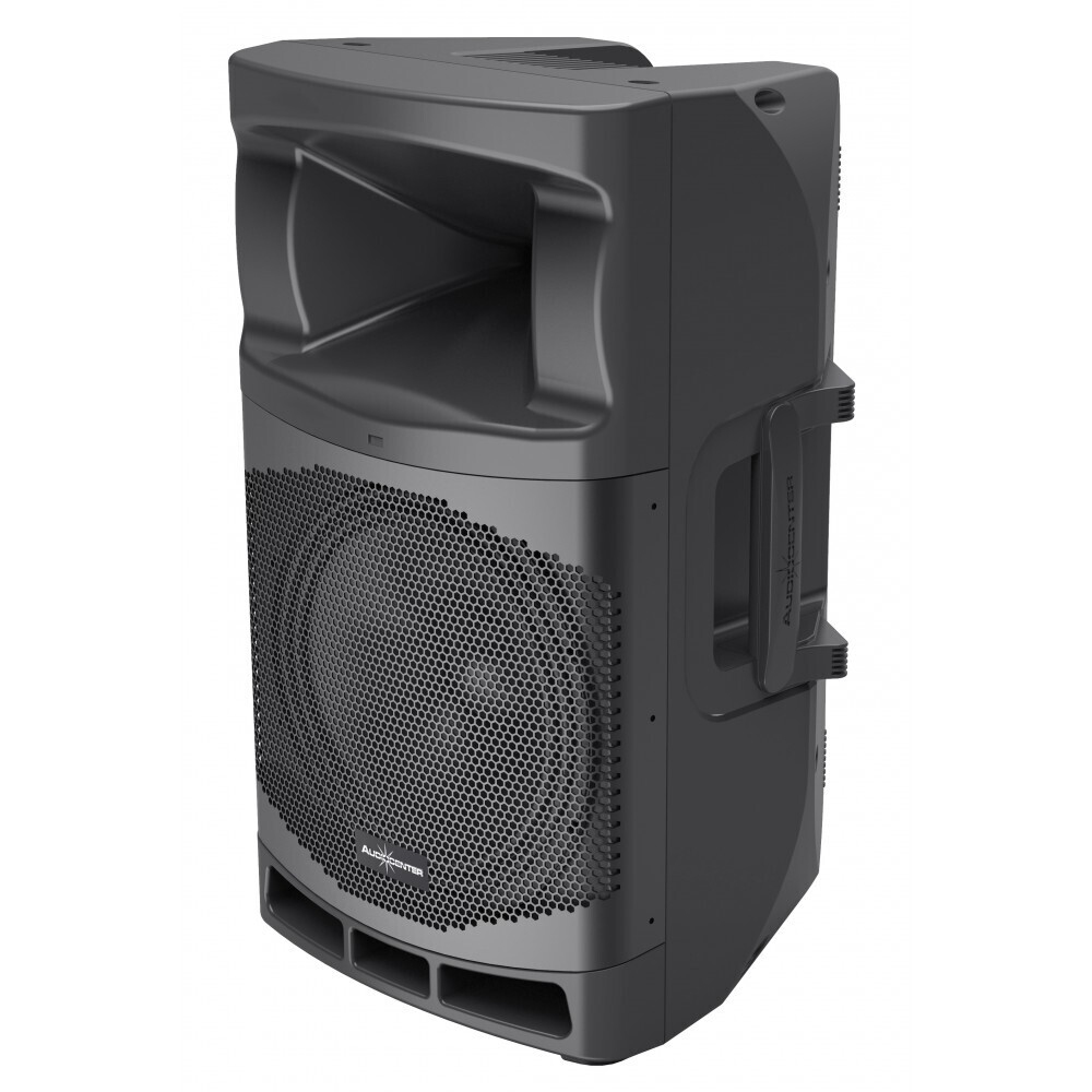 Audiocenter MA12 активная акустическая система в Шадринске