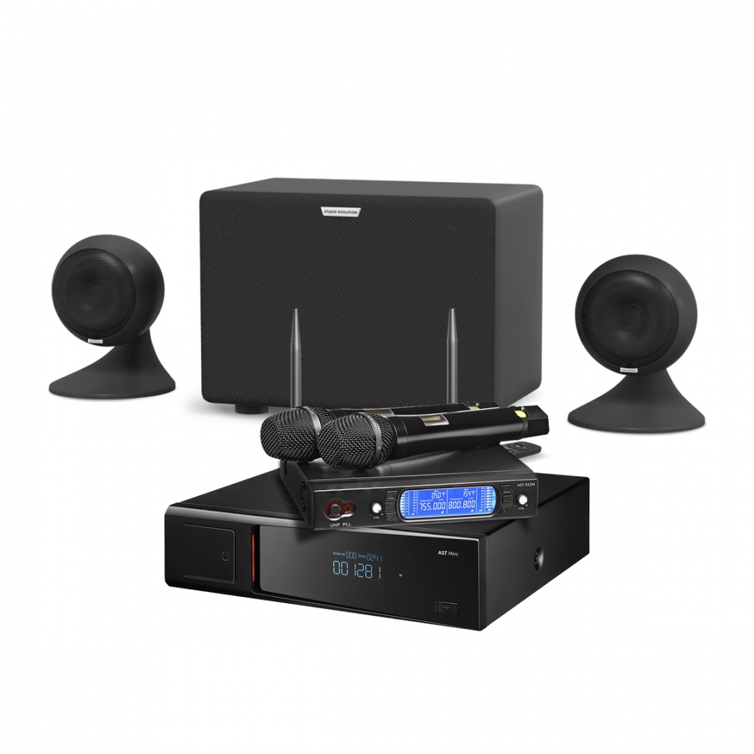 караоке-комплект AST Mini Sound Sphere в Шадринске