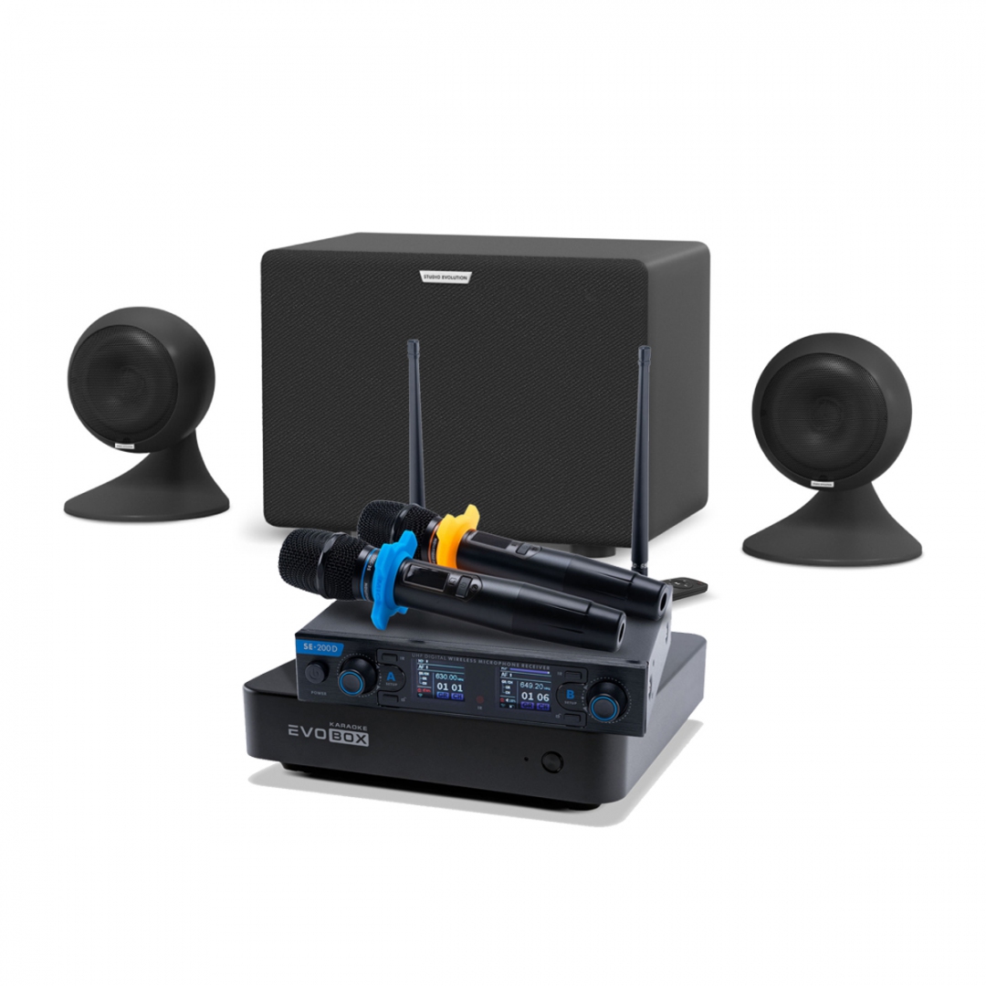 караоке-комплект EVOBOX + EvoSound Sphere 2.1 в Шадринске