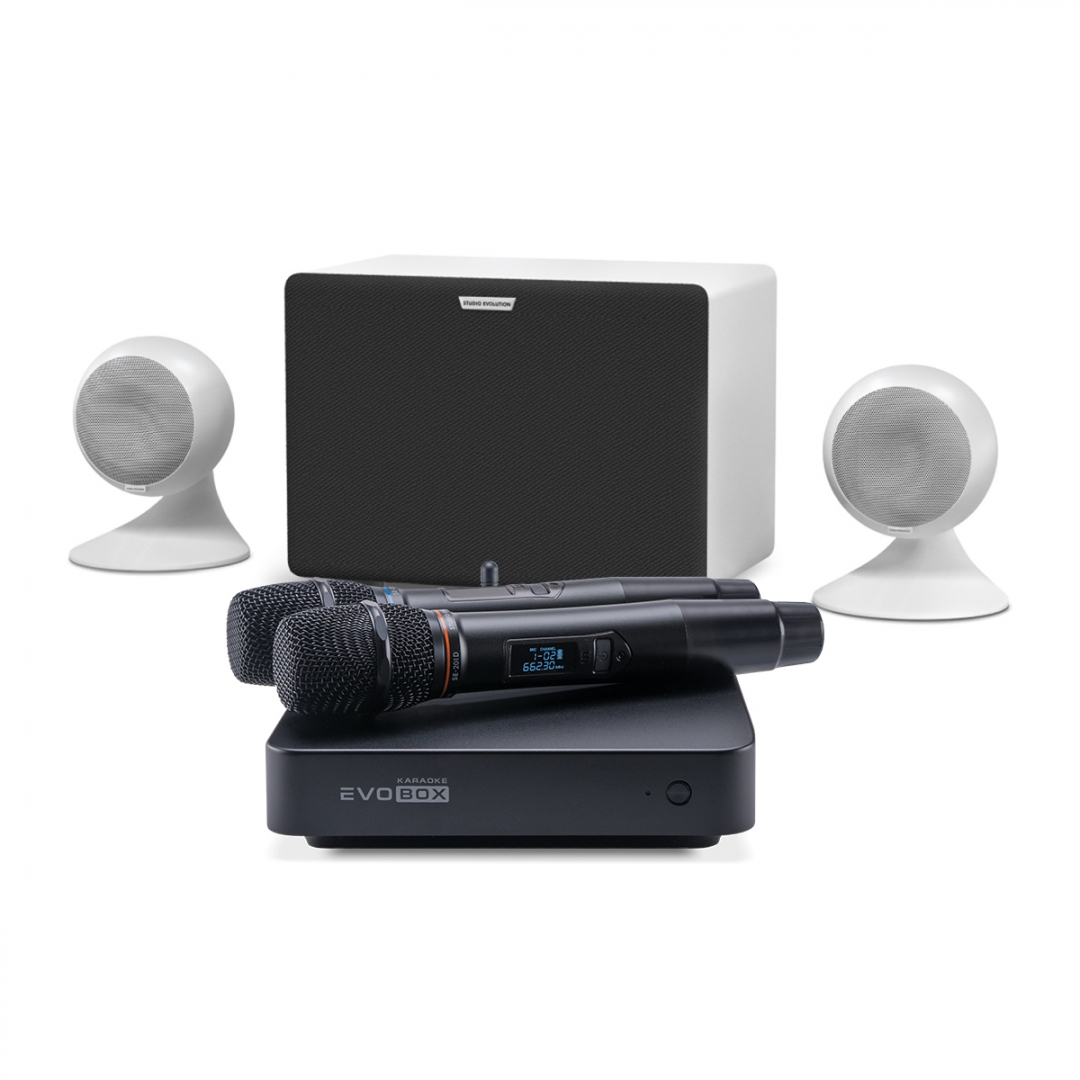 караоке-комплект EVOBOX Classic + EvoSound Sphere 2.1 в Шадринске