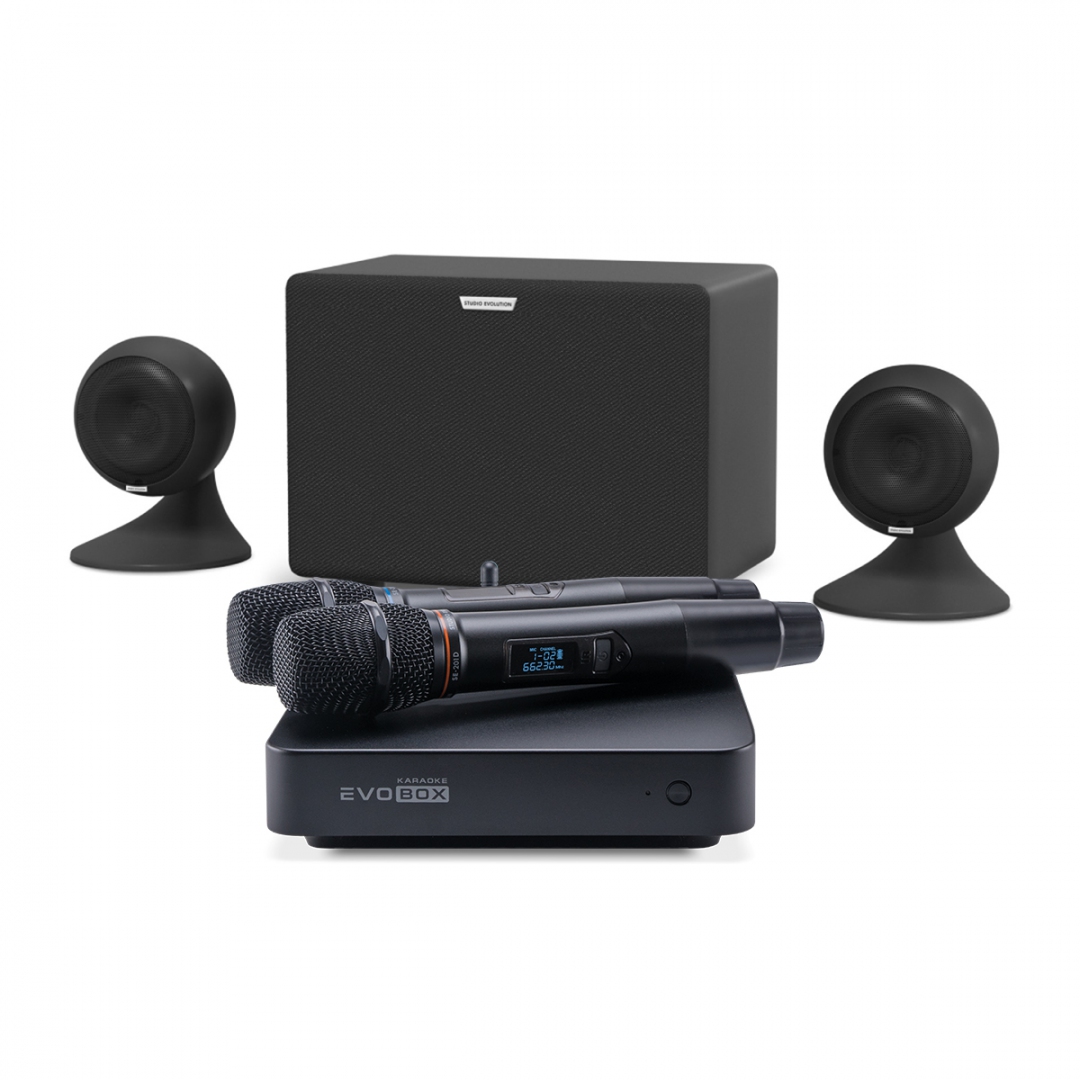 караоке-комплект EVOBOX Plus + EvoSound Sphere 2.1 в Шадринске