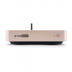 EVOBOX Plus караоке-система для дома в Шадринске