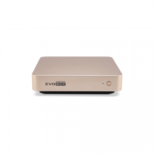 EVOBOX с микрофонами в Шадринске