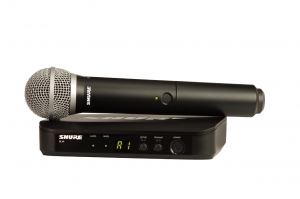 SHURE BLX24E/PG58 M17 вокальная радиосистема в Шадринске